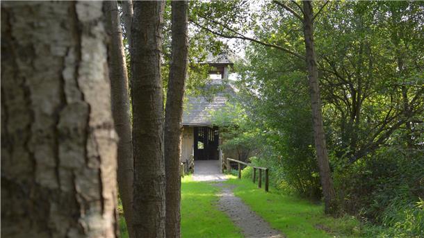 Balksee: Kurzausflug ins Naturparadies Eine kleine Allee führt zum Aussichtsturm am Balksee.
