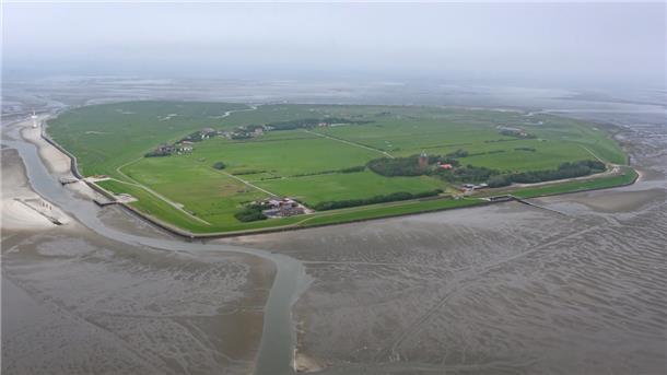 Eine Kur auf der Insel Neuwerk ist auch für kranke Pferde eine Chance.