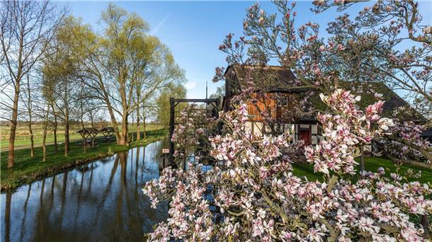 Rekordwärme: Ein Sommerwochenende mitten im April Eine Magnolie blüht in der Frühlingssonne an einem Fließ im Spreewald.