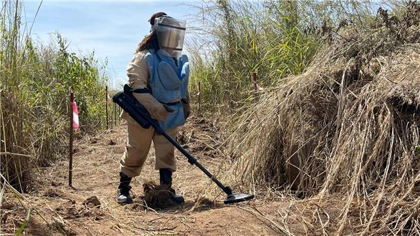 Riesenhamsterratten erschnüffeln Landminen in Angola Eine Minenräumerin der belgischen Organisation Apopo sucht nach Landminen. Zuvor hatte eine Riesenhamsterratte dort angeschlagen.