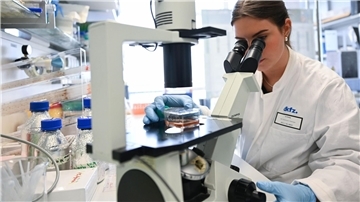 Eine Mitarbeiterin des Deutschen Krebsforschungszentrum bearbeitet in einem Labor unter dem Mikroskop eine Probe.