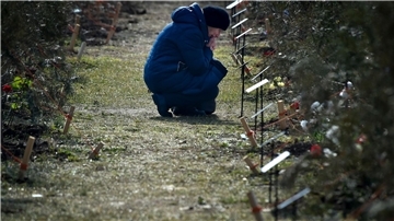 Eine Mutter trauert um ihren gefallenen Sohn auf der Allee der Helden in Sewastopol.