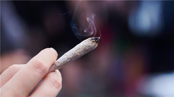 Hamburg will Cannabis-Legalisierung nicht hinnehmen Eine Person hält einen Joint mit Cannabis in der Hand.