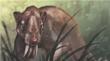 Eine Rekonstruktion des Thylacosmilus atrox.