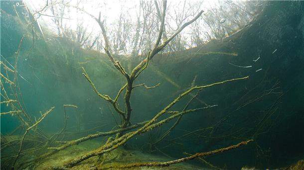 Notruf: Angeblicher Tauchunfall am Kreidesee in Hemmoor sorgt für Großeinsatz Eine vermeintlich vermisste Taucherin am Kreidesee sorgte für einen groß angelegten Rettungseinsatz.