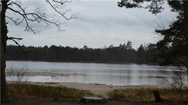 Eine vernässte Fläche am Abzweig zum „Butterweg“. Ausblicke wie diese bringen den Nordpfad in die Endauswahl zum schönsten Wanderweg Deutschlands.