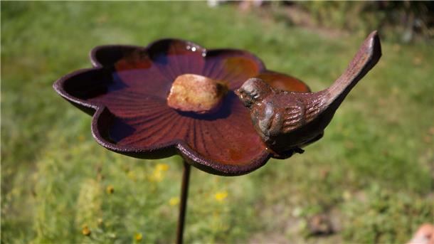 An heißen Tagen müssen auch Vögel und Insekten viel trinken Eine Vogeltränke sollte katzensicher im Garten platziert werden.