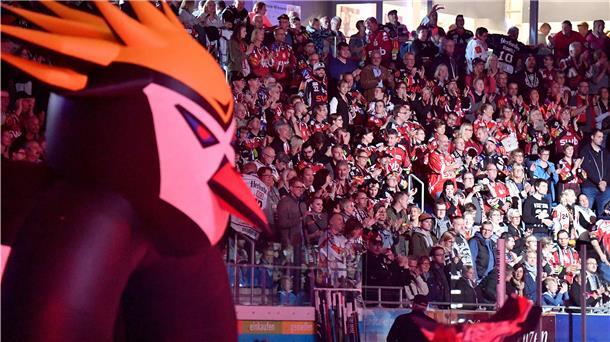 Eine volle Eisarena wünschen sich die Pinguins auch in der kommenden DEL-Saison. Geisterspiele oder Heimspiele mit geringerer Zuschauerkapazität wären für den DEL-Club ein großes wirtschaftliches Problem. Da könnte das Konjunkturpaket der Bundesregierung für Entlastung sorgen.