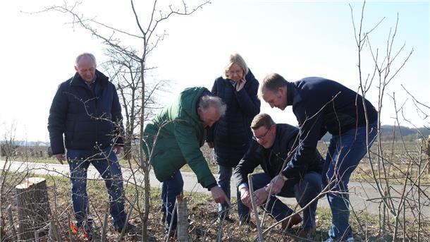 Wallhecken sind ein Stück Heimat im Cuxland - das sollte jeder über sie wissen Eine Wallhecke in Frelsdorf nach der Pflege: Im Spätsommer wird sie ein Zuhause für viele Tiere sein.