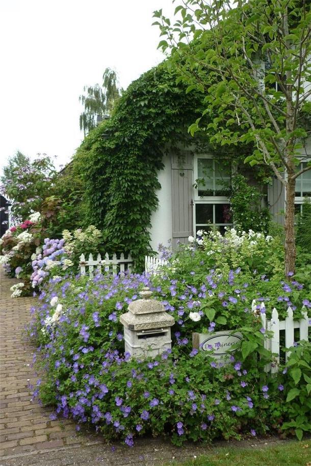 Pflegeleicht und insektenfreundlich: So gelingt der Wunschgarten Garten