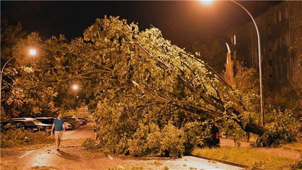 Gewittersturm entwurzelt dicke Bäume in Brandenburg Einfach umgeknickt: Es sind Böen mit einer Windgeschwindigkeit von 148 Kilometer pro Stunde gemessen worden.
