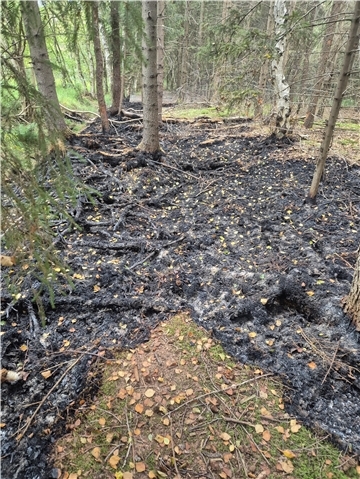Moorbrand bei Schiffdorf-Spaden: Feuerwehr löscht 125 Quadratmeter Fläche, 30 Kräfte im Einsatz, 25.000 Liter Wasser verbraucht.