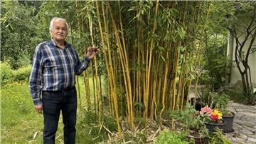 Ein Mann hält einen kleinen Holzelefanten in der Hand.