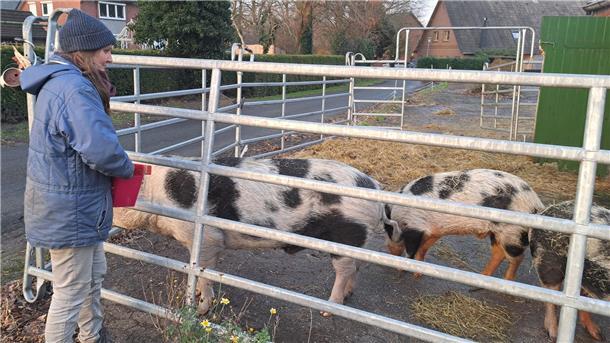 Elke Gillich sucht dringend eine neue Unterkunft für ihre drei Schweine und zahlreiche weitere Tiere. 