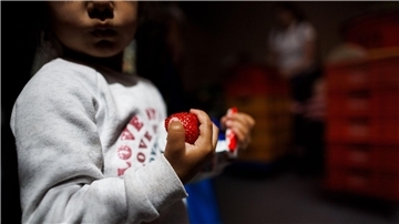 Ende August sollen Einzelheiten der geplanten Kindergrundsicherung vorliegen.