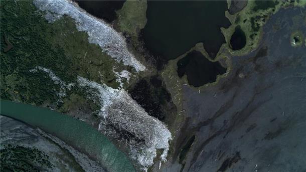 Blick auf eine Küstenregion aus der Vogelperspektive. Dort haben sich dichte Teppiche aus Treibholz gebildet.