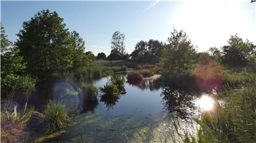 Entspannung an der Quelle: Hier entspringt der Holßeler Bach.
