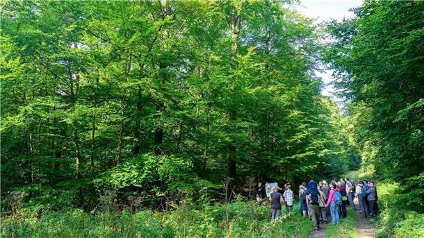 Erstmals sind Besuchergruppen durch das Schutzgebiet geführt worden.