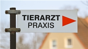 Es gibt in Deutschland Notrufnummern für schnelle Hilfe für erkrankte und verletzte Hunde und Katzen.