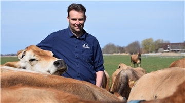 Jan Dierk Harbers steht mit einem blauen Hemd zwischen seinen Jersey-Rindern, die sehr interessiert auf die Menschen zukommen.  