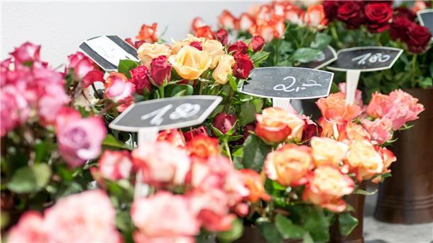 Warum riechen alle Blumenläden gleich und sind Rosen super? Etwa 6.000 Blumenfachgeschäfte gibt es in Deutschland. (Archivbild)