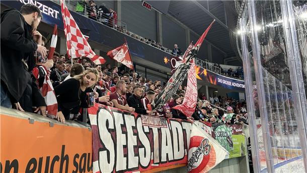 900 Pinguins-Fans sehen späten Sieg ihres Teams in Dresden Bremerhavener Eishockeyfans auf der Tribüne in Dresden