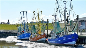 EU-Pläne könnten das Aus für die Küstenfischerei an der Nordsee bedeuten, fürchtet ein Bündnis. Die Akteure unterzeichnen einen „Zukunftspakt“, in dem Vorschläge für den Erhalt stehen.