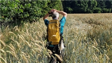 Ein Mann geht durch ein Feld.