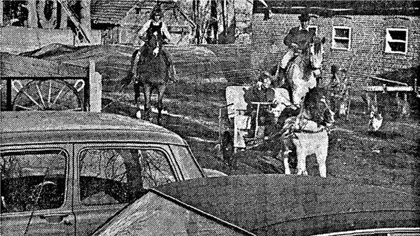 Als vor 50 Jahren im Cuxland die Autos stehen blieben Familienausflug mit zweieinhalb PS: Manche holten am 25. November 1973 wieder das Pferd aus dem Stall.