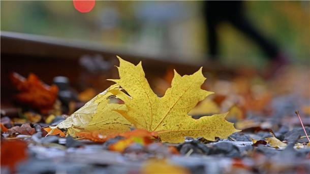 Oktober laut Wetterdienst sehr nass und deutlich zu mild Farbenfroh - aber auch rekordverdächtig bei Niederschlägen und Temperaturen: So lässt sich der Oktober in Deutschland zusammenfassen.