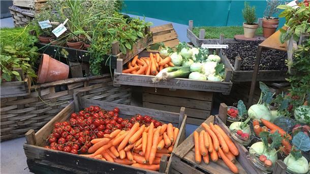 Farbenfroh, frisch und lecker - damit dies so bleibt, müssen Gemüse und Obst richtig eingelagert werden.