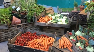 Farbenfroh, frisch und lecker - damit dies so bleibt, müssen Gemüse und Obst richtig eingelagert werden.