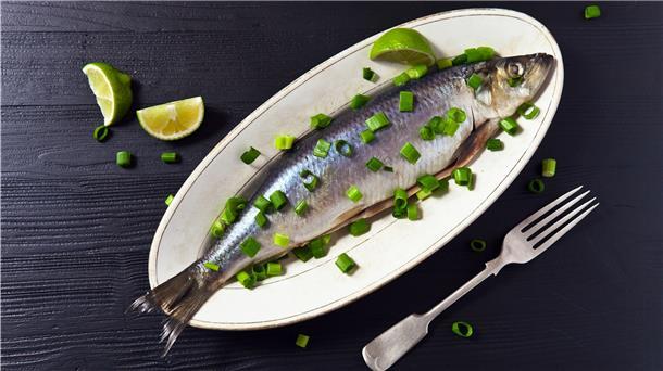 EU streitet mit Großbritanien um Fanggründe Premierminister Boris Johnson hält einen Fisch in die Kamera, Fischmarkt, Brexit