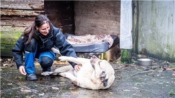 Fast schon Inventar: Hündin Maxi hat zu Tierpflegerin Nadine Bruns Vertrauen aufgebaut und lebt seit 2014 im Bremerhavener Tierheim.