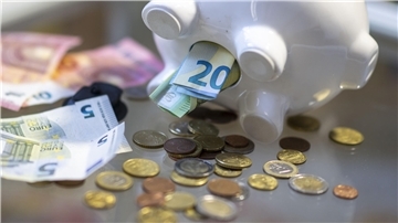 Sparschwein mit einigen Euro-Geldscheinen und Euro-Münzen
