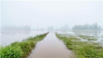 Finanzielle Einbußen durch das Hochwasser haben nicht nur Bauern, denen die Ernte ausgefallen ist, sondern auch Landwirte, die für ihre Produkte keine Abnehmer mehr finden.