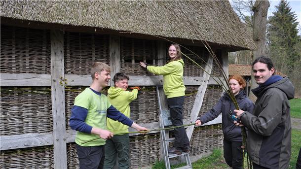 Fingerfertigkeit und Geduld sind gefragt: Das Team der Jugendbauhütte Stade erneuert mit neuen Weidenzweigen schadhafte Stellen am Geflecht im Fachwerk der Torfscheune in Augustendorf.