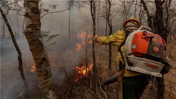 Indigene Feuerwehrleute kämpfen in Brasilien gegen Flammen Flammen fressen sich durch die trockene Landschaft.