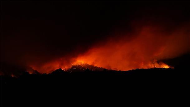 Waldbrand auf Teneriffa breitet sich langsamer aus Flammen wüten am Mittwoch in der Nähe der Gemeinde Arafo auf Teneriffa.