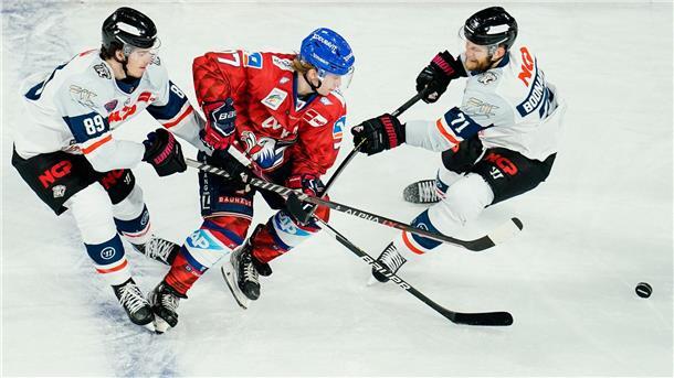 Florian Elias stürmt für die Augsburger Panther Florian Elias (M.) stürmt künftig für die Augsburger Panther.