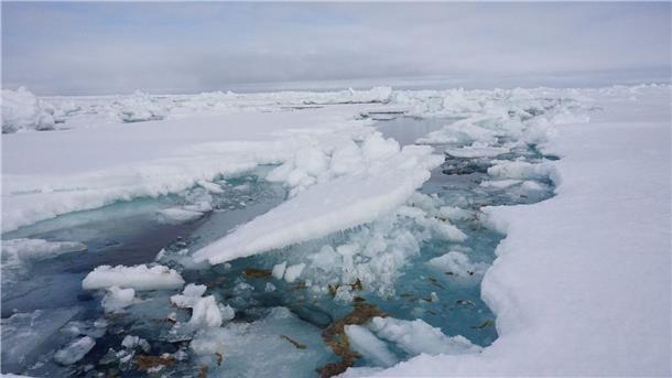 Arktische Algen stark mit Mikroplastik belastet Forscher vom Alfred-Wegener-Institut haben auf einer Expedition in der Arktis untersucht, wie viel Mikroplastik in der Eisalge Melosira arctica und dem Meerewasser direkt neben Eisschollen vorhanden ist.