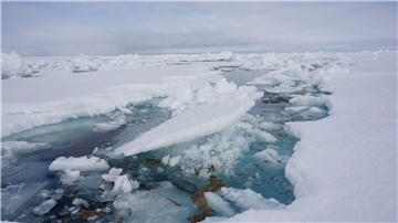 Forscher vom Alfred-Wegener-Institut haben auf einer Expedition in der Arktis untersucht, wie viel Mikroplastik in der Eisalge Melosira arctica und dem Meerewasser direkt neben Eisschollen vorhanden ist.