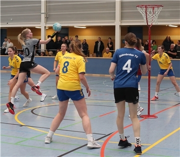 Ovelgönner TV gegen Oldenbroker TV Korbball-Bundesliga