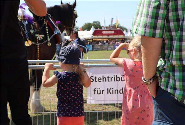 Für die gute Aussicht am Show-Ring ist gesorgt.