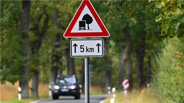 Für die Verkehrssicherheit müssen Alleen regelmäßig kontrolliert werden.