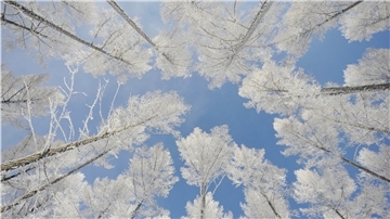 Für viele gehört Schnee zu Weihnachten. Aber das bleibt ein Wunsch, denn weiße Weihnachten sind eher selten.