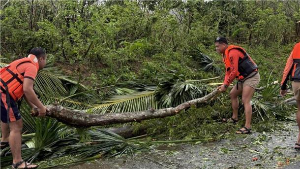 „Fung-Wong“ sorgte bereits vor seiner Ankunft für umgestürzte Bäume und Tote.