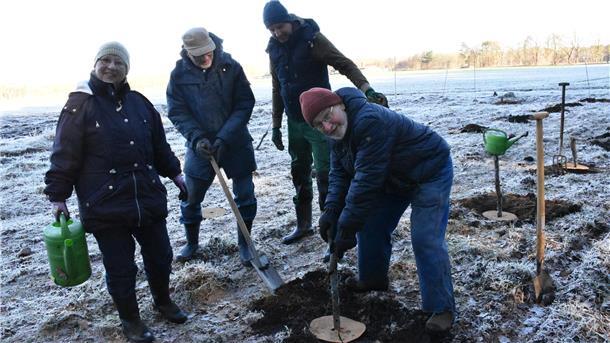 Mehrere Personen pflanzen einen Baum