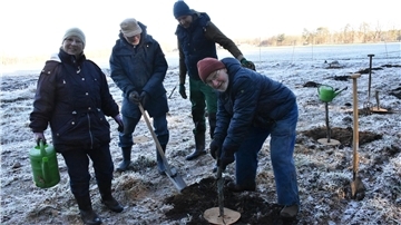Mehrere Personen pflanzen einen Baum