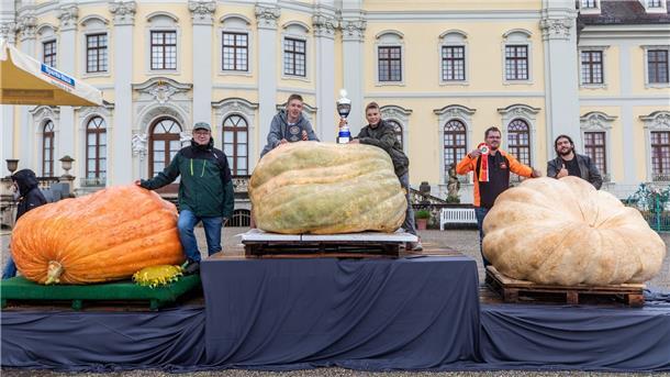 Stolze 1100,5 Kilogramm: Italiener gewinnt Kürbis-Wettbewerb Ganz schön dicke Dinger: Für Deutschland gingen diese drei Züchter beim Kürbis-Wettbewerb ins Rennen.